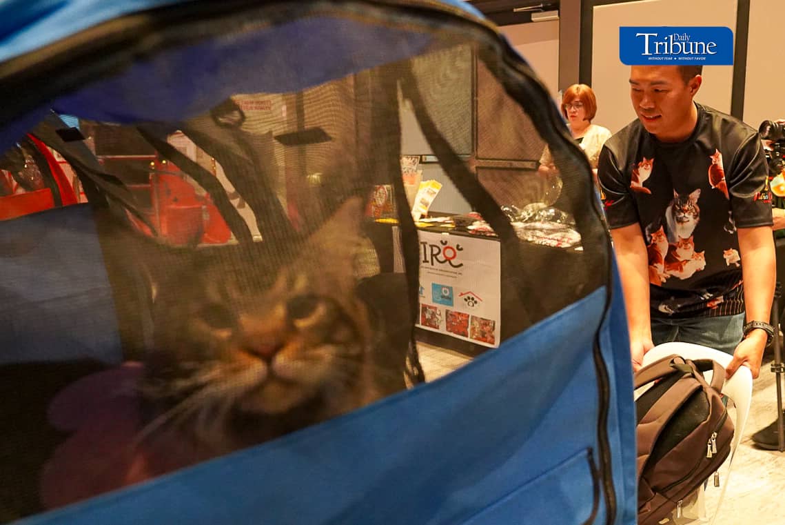 Cat enthusiasts and pet owners visit the 1st WCF Philippines World Show held at One Ayala in Makati. The show runs from 14 to 15 June 2024.
